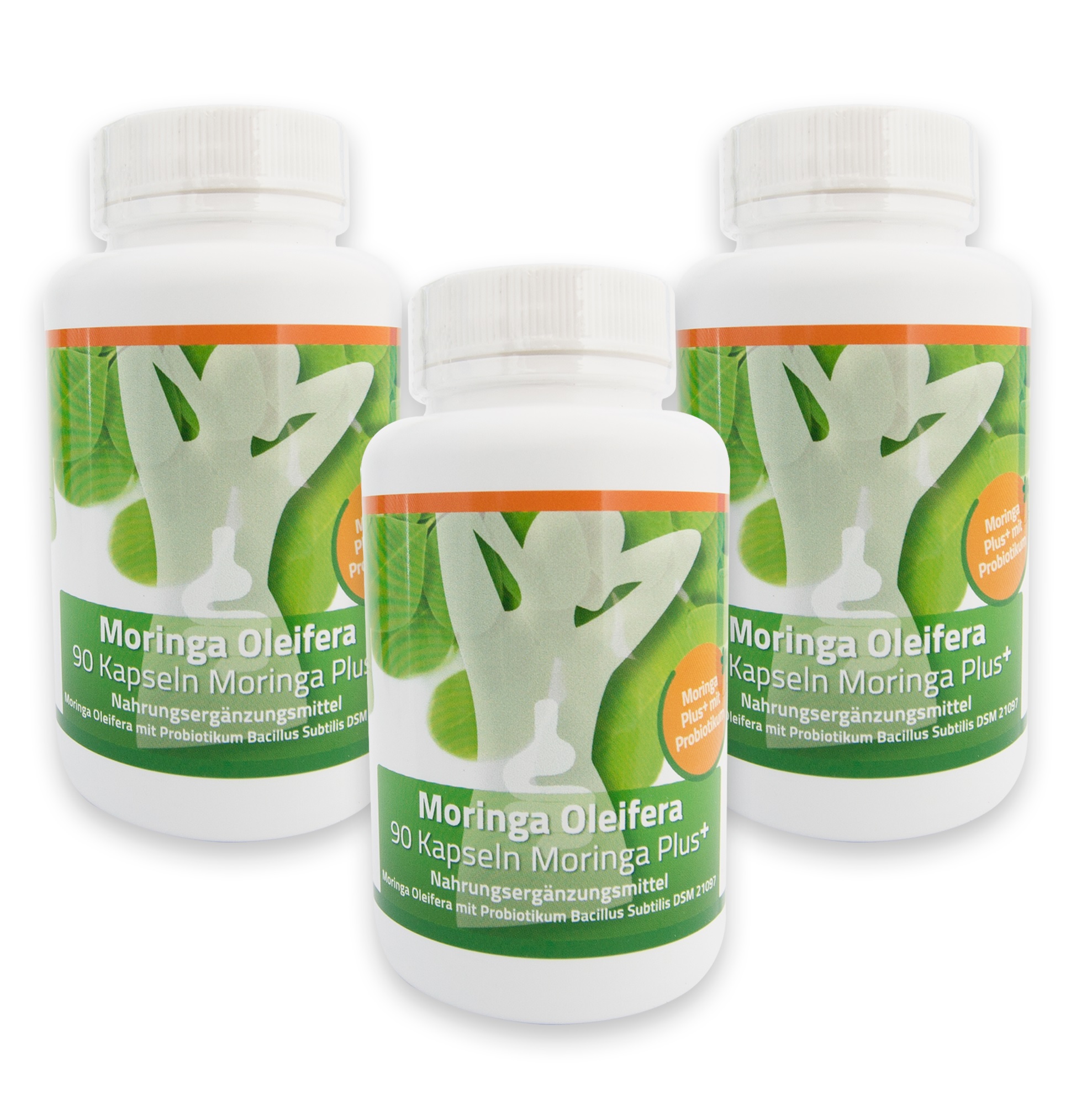 moringa plus